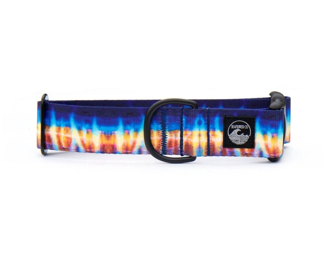 Wahoo Dog Collar | SeaFlower Co
