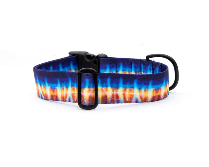 Wahoo Dog Collar | SeaFlower Co