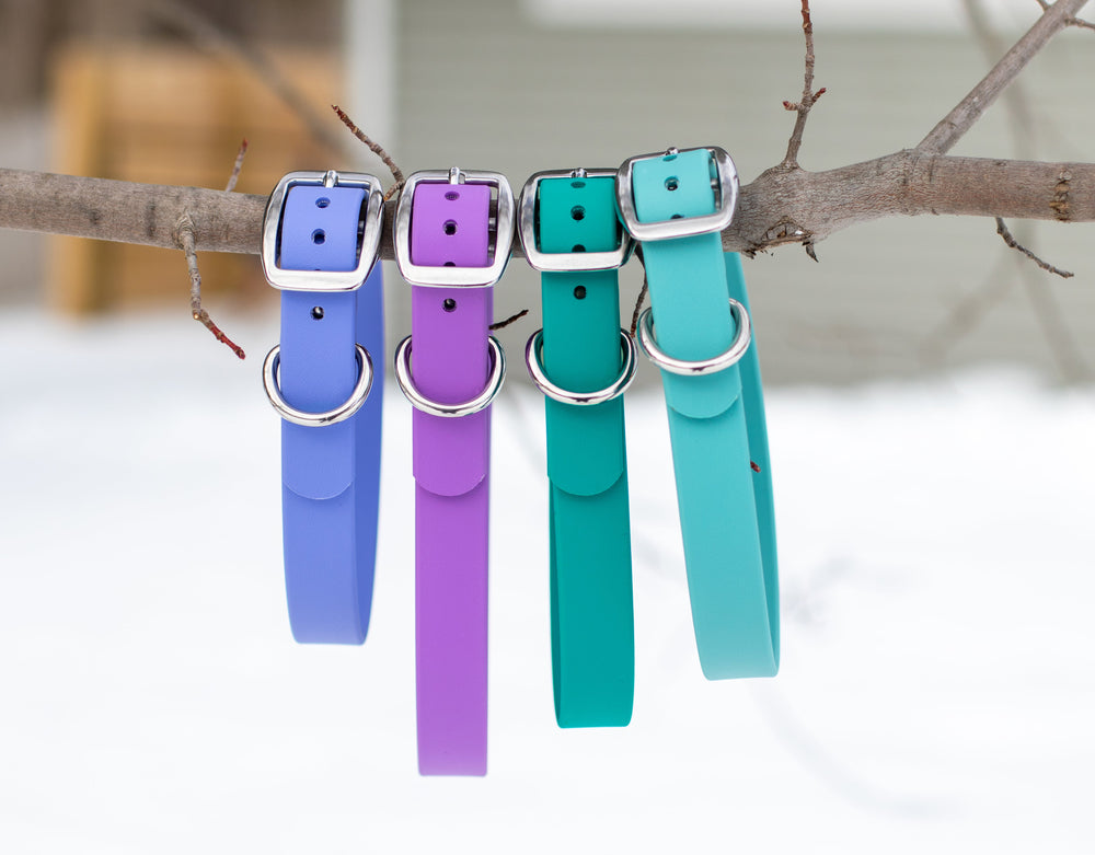 BioThane Dog Collars | Waterproof Dog Gear