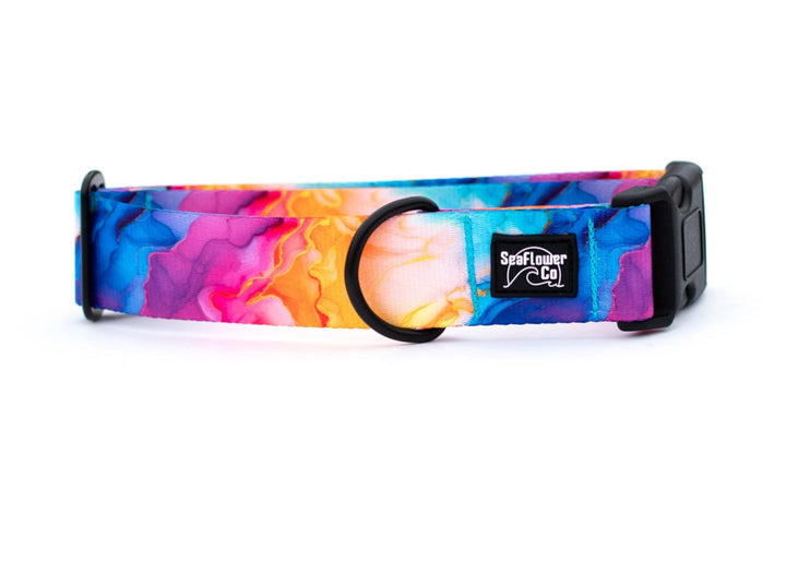 Vibrant Rainbow Dog Collar | SeaFlower Co
