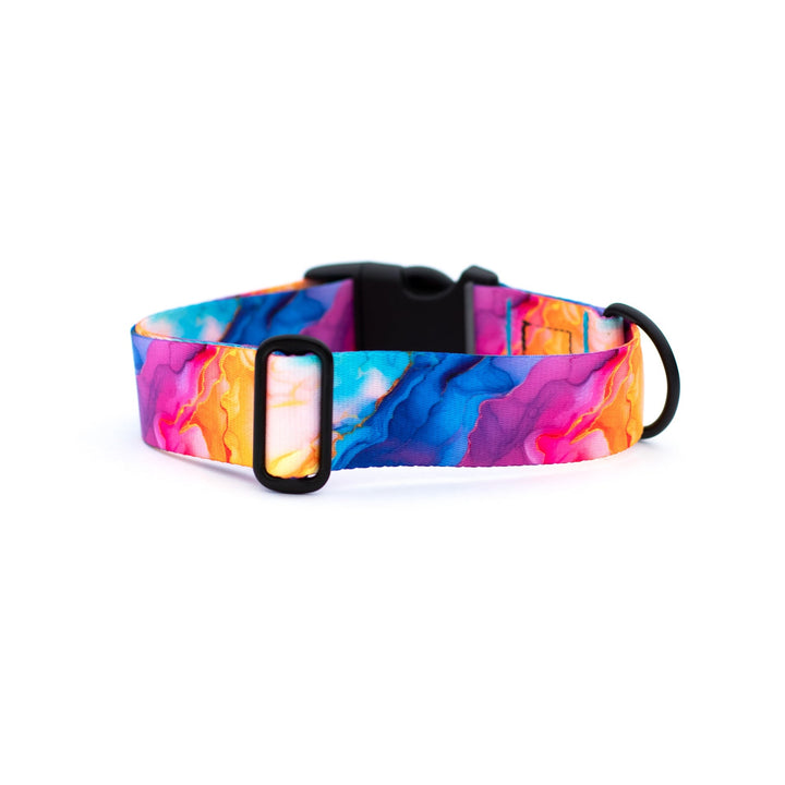 Vibrant Rainbow Dog Collar | SeaFlower Co