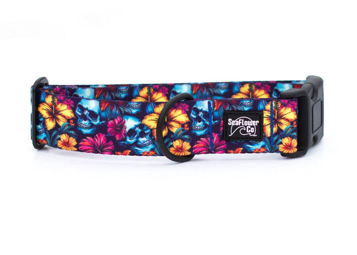 Floral Skulls Dog Collar | Tropical Pet Gear