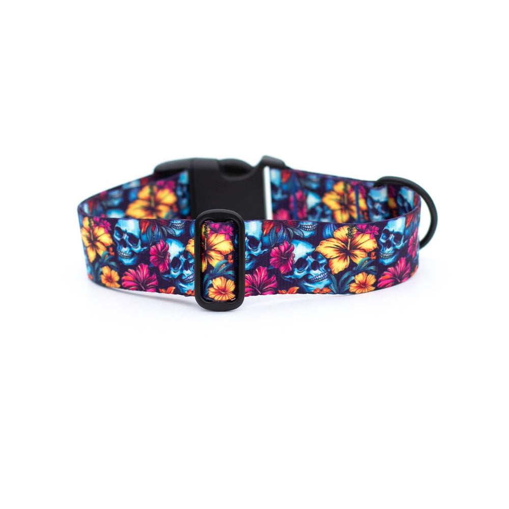 Floral Skulls Dog Collar | Tropical Pet Gear