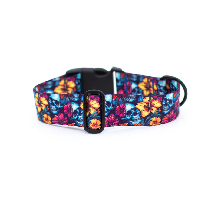 Floral Skulls Dog Collar | Tropical Pet Gear