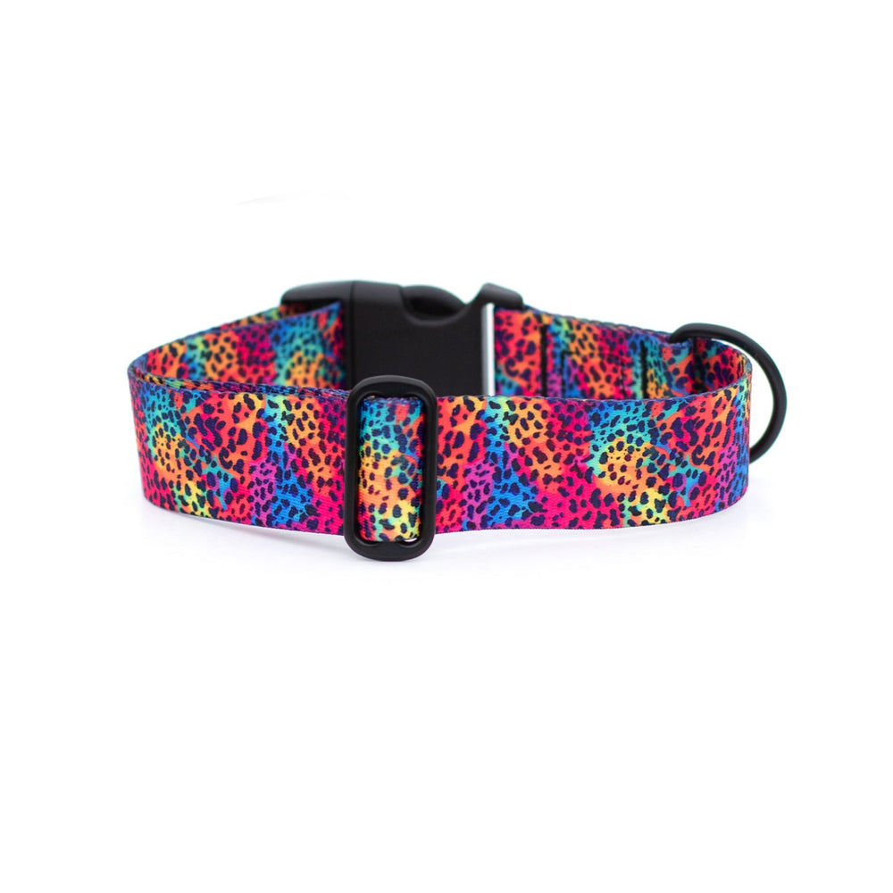 Rainbow Leopard Dog Collar | Unique Dog Gear