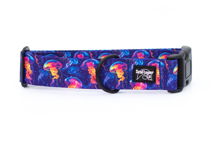 Neon Jellyfish Dog Collar | Ocean Pet Gear