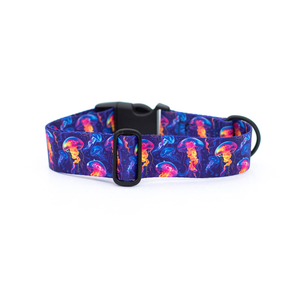 Neon Jellyfish Dog Collar | Ocean Pet Gear