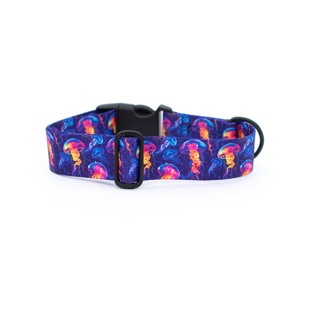 Neon Jellyfish Dog Collar | Ocean Pet Gear