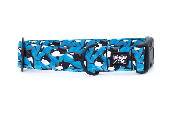Orca Dog Collar | Stylish & Durable Ocean Pet Gear