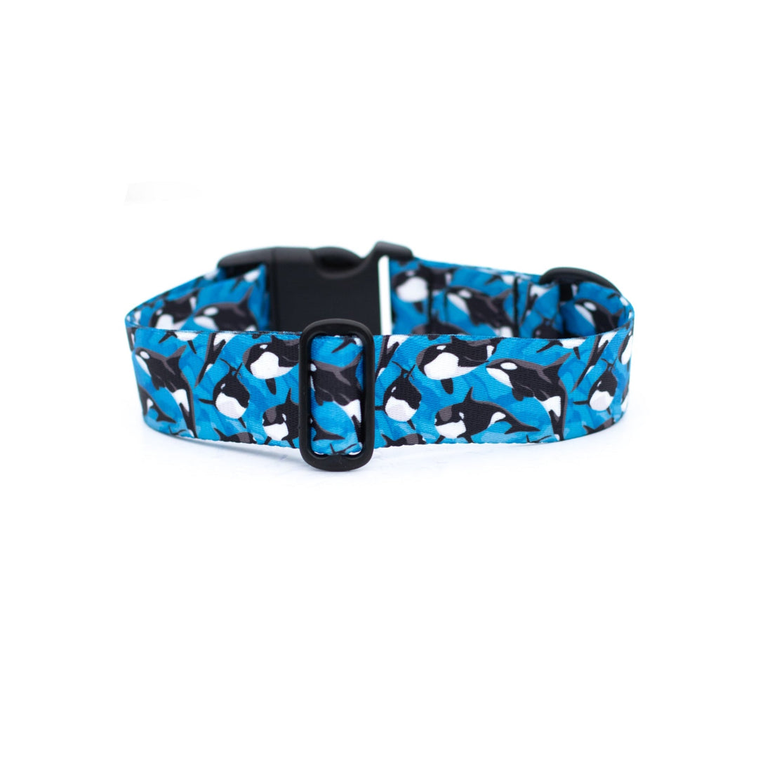 Orca Dog Collar | Stylish & Durable Ocean Pet Gear