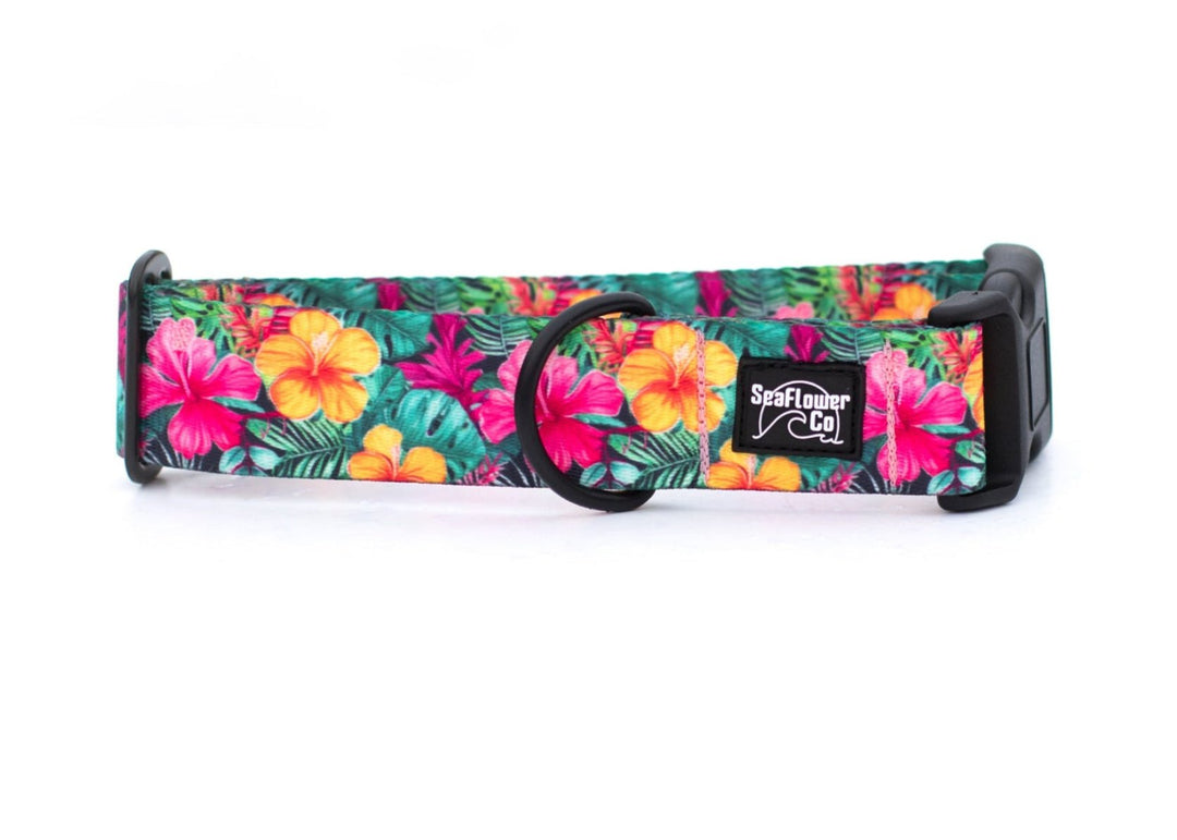 Hawaiian Floral Dog Collar | SeaFlower Co