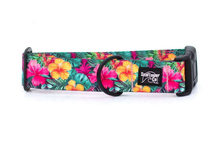 Hawaiian Floral Dog Collar | SeaFlower Co