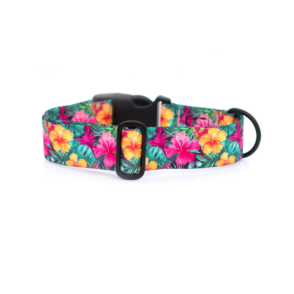 Hawaiian Floral Dog Collar | SeaFlower Co