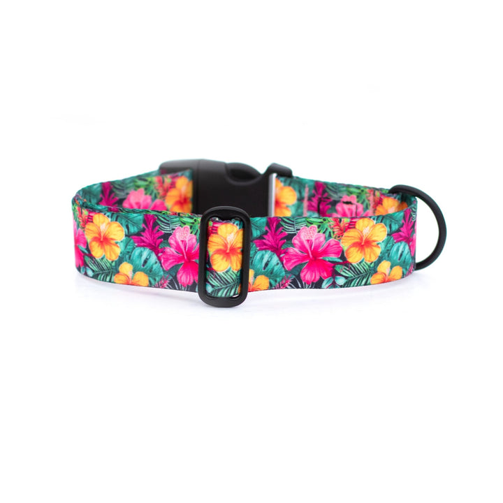 Hawaiian Floral Dog Collar | SeaFlower Co