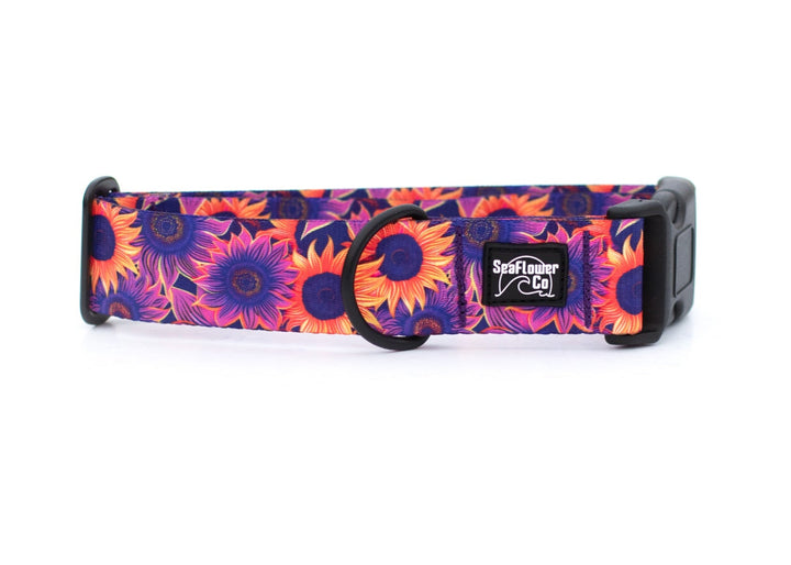 Purple Sunflower Dog Collar | Stylish & Durable Floral Dog Gear