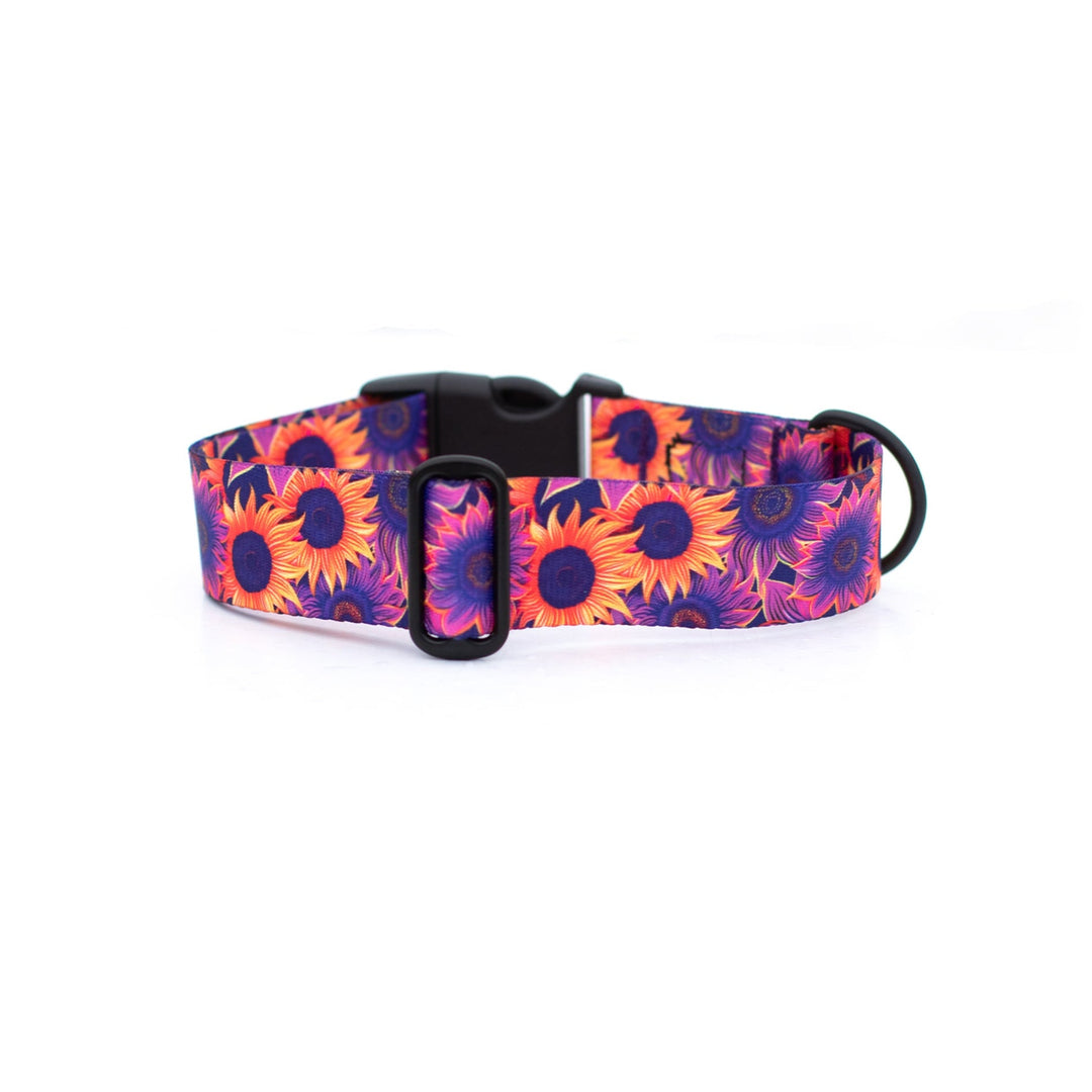 Purple Sunflower Dog Collar | Stylish & Durable Floral Dog Gear