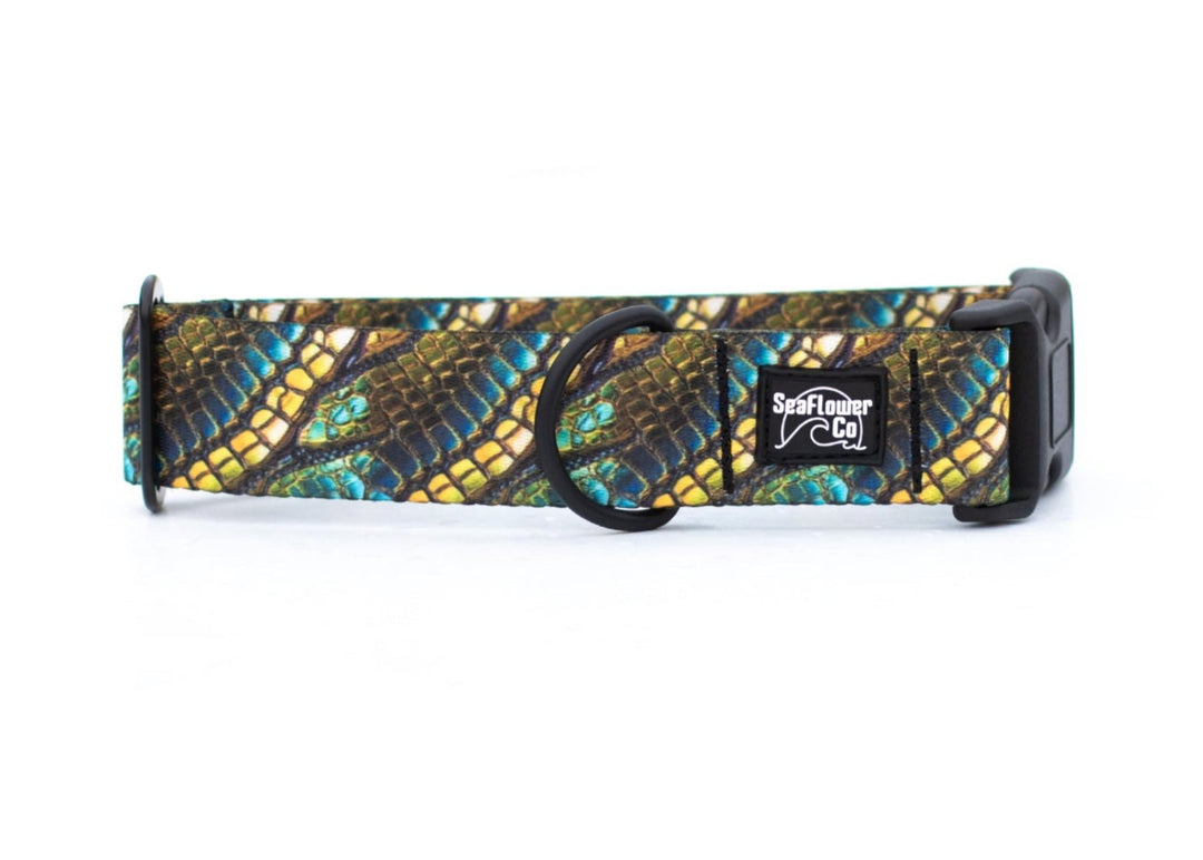 Green Dragon Scales Dog Collar | Unique Pet Gear