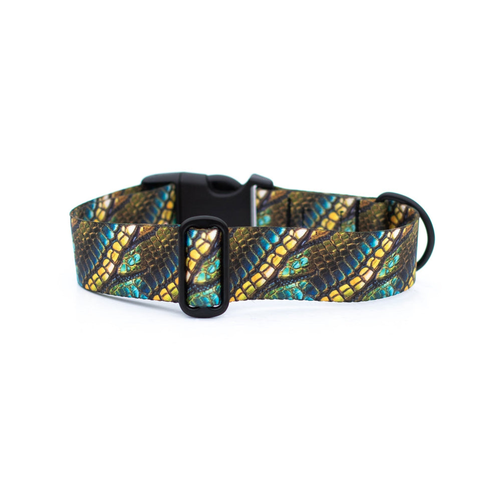 Green Dragon Scales Dog Collar | Unique Pet Gear
