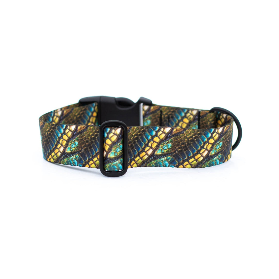 Green Dragon Scales Dog Collar | Unique Pet Gear