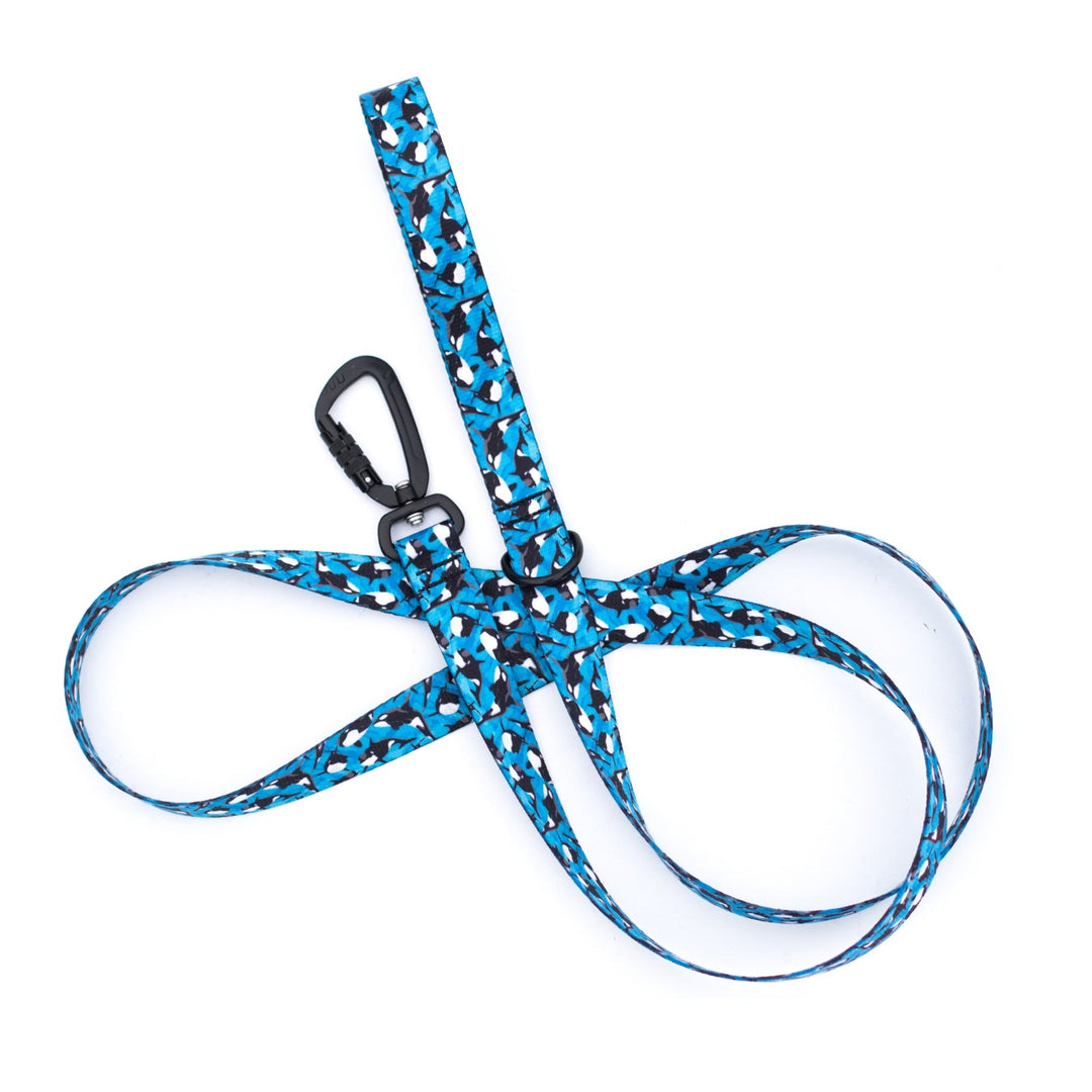 Orca Dog Leash | Stylish & Durable Ocean Pet Gear
