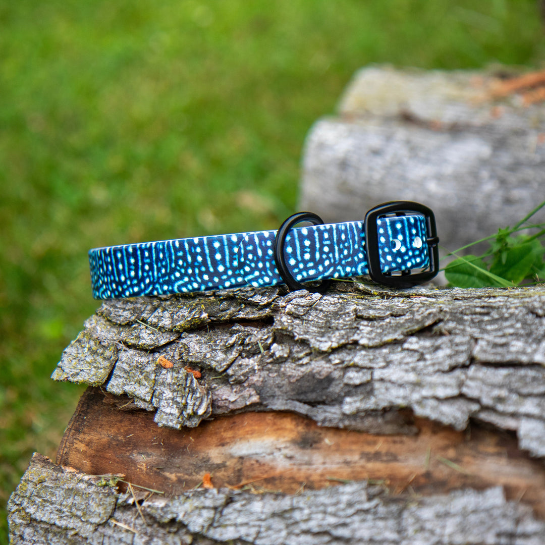 Whale Shark BioThane® Dog Collar | Waterproof Pet Gear