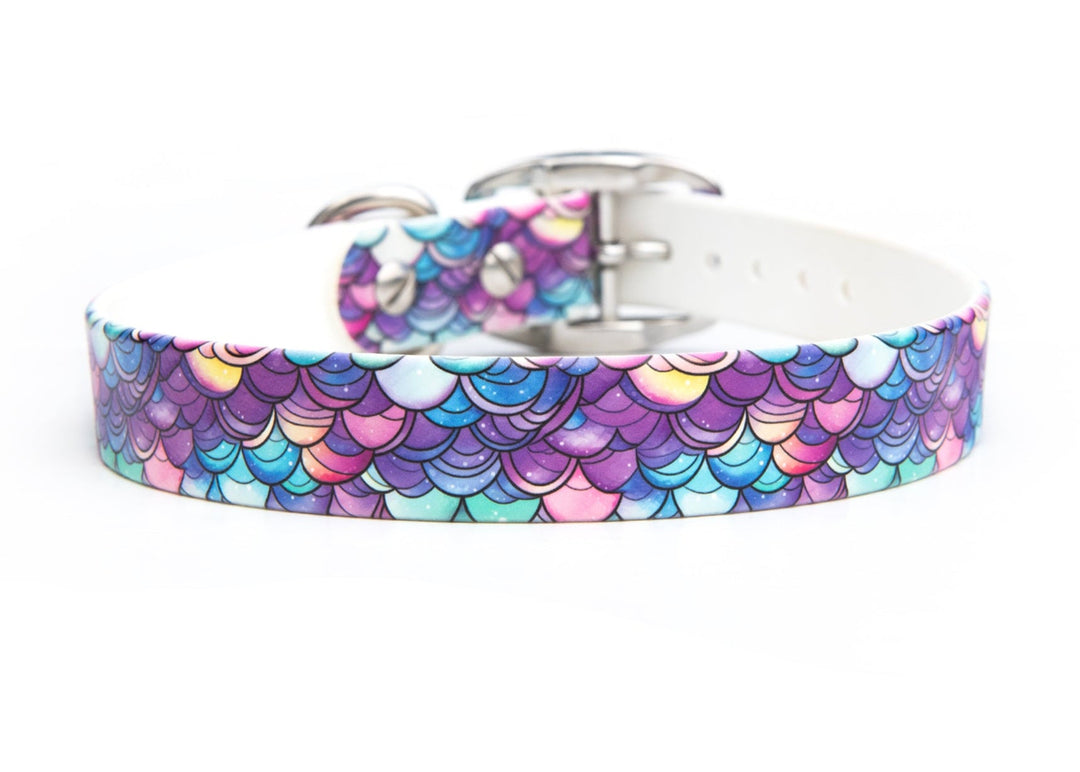 Mermaid Scales Waterproof Dog Gear | SeaFlower Co