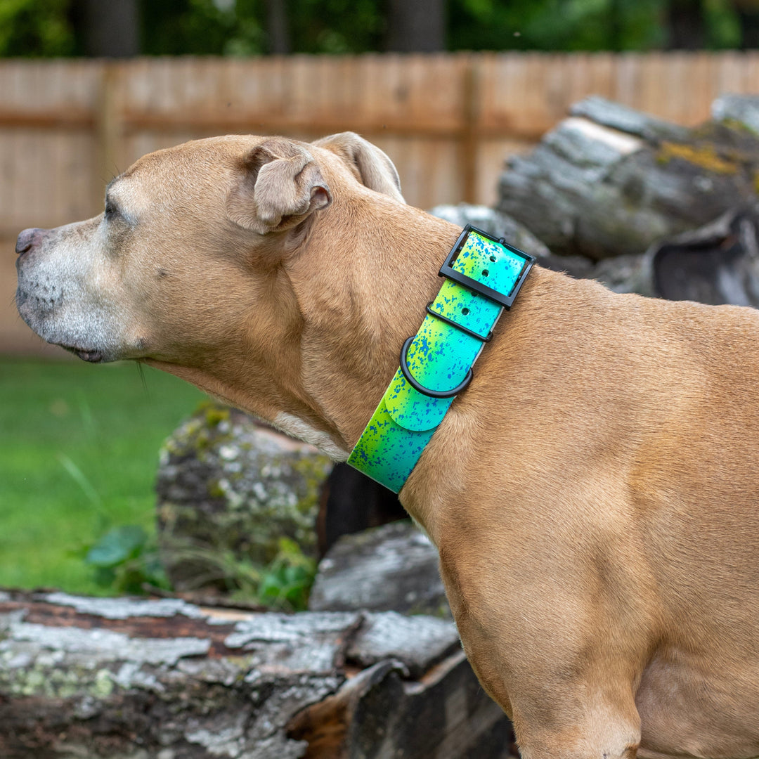 1.5" UV Printed Mahi BioThane Collar | SeaFlower Co