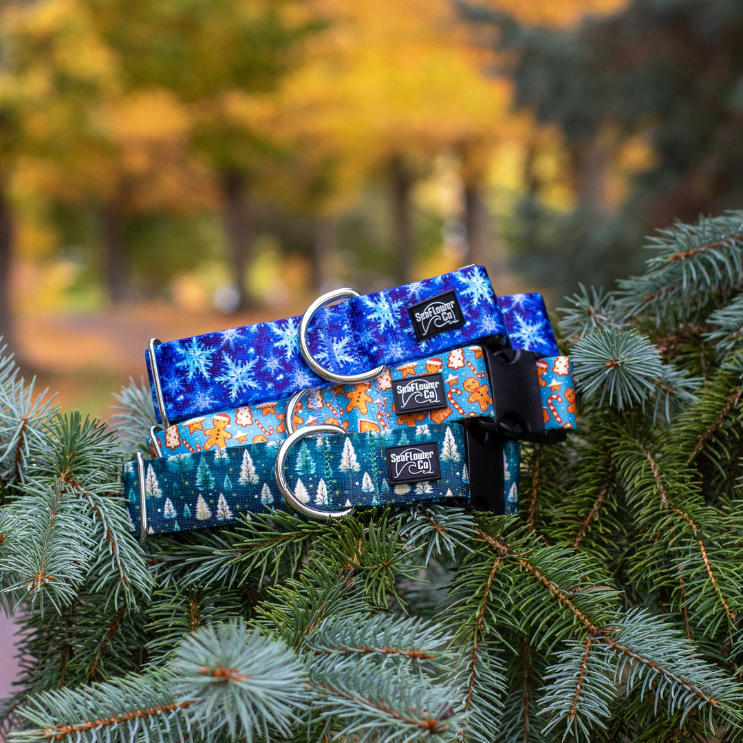 Two blue dog collars with festive designs on green tree branches.