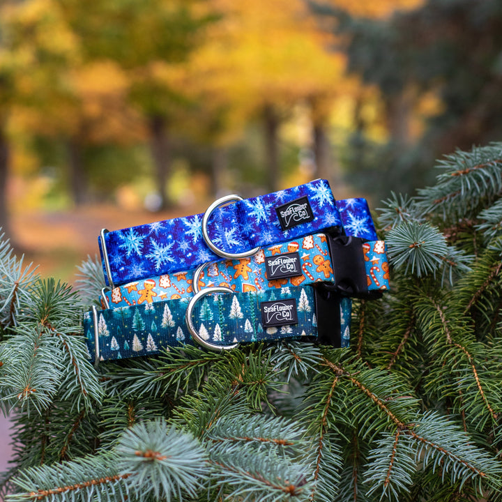 Two blue dog collars with festive designs on green tree branches.
