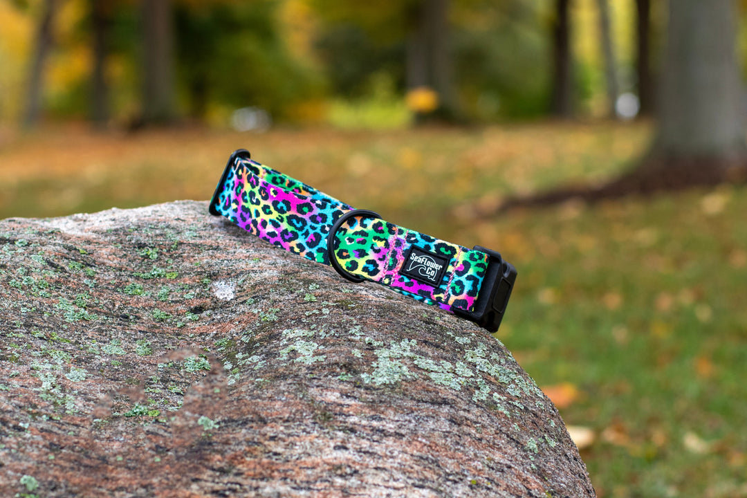 Colorful leopard print dog collar on a rock with a blurred natural background