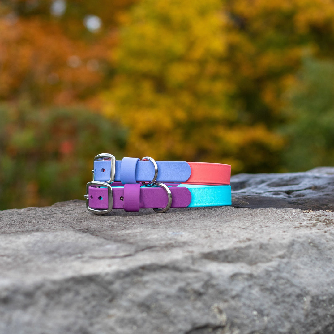 Two-Toned BioThane® Collars