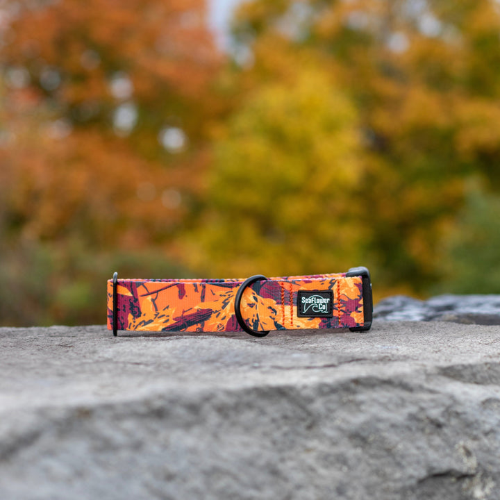 Dog collar with autumn leaf pattern on a rock with blurred trees in the background