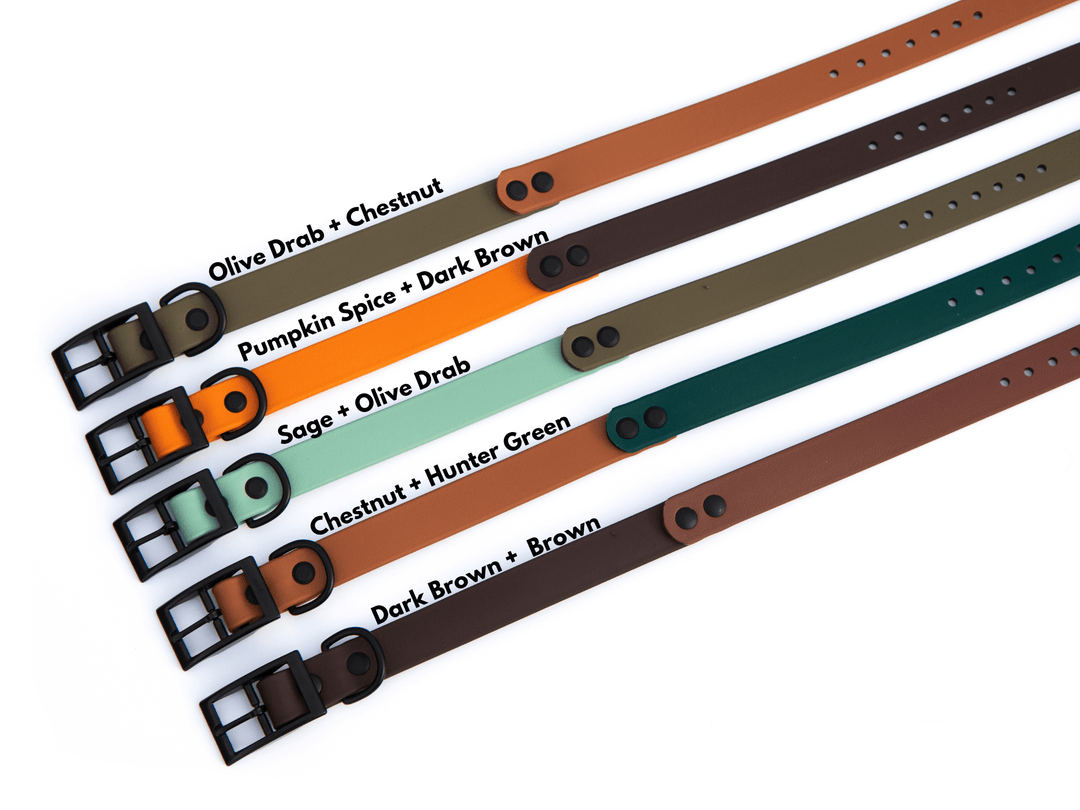 Fall/Autumn BioThane® Collar
