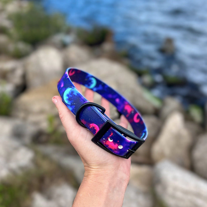 Galaxy BioThane® Collar | SeaFlower Co