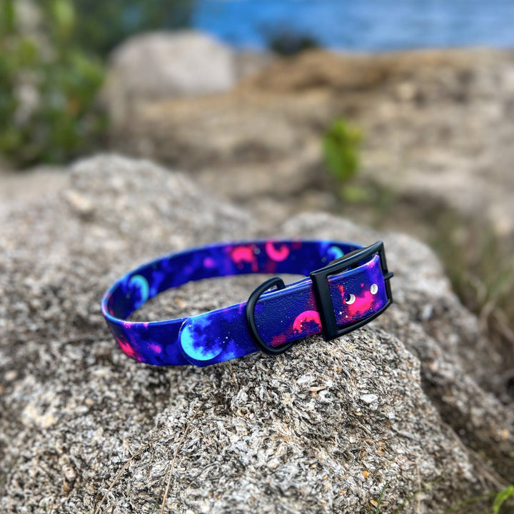 Galaxy BioThane® Collar | SeaFlower Co
