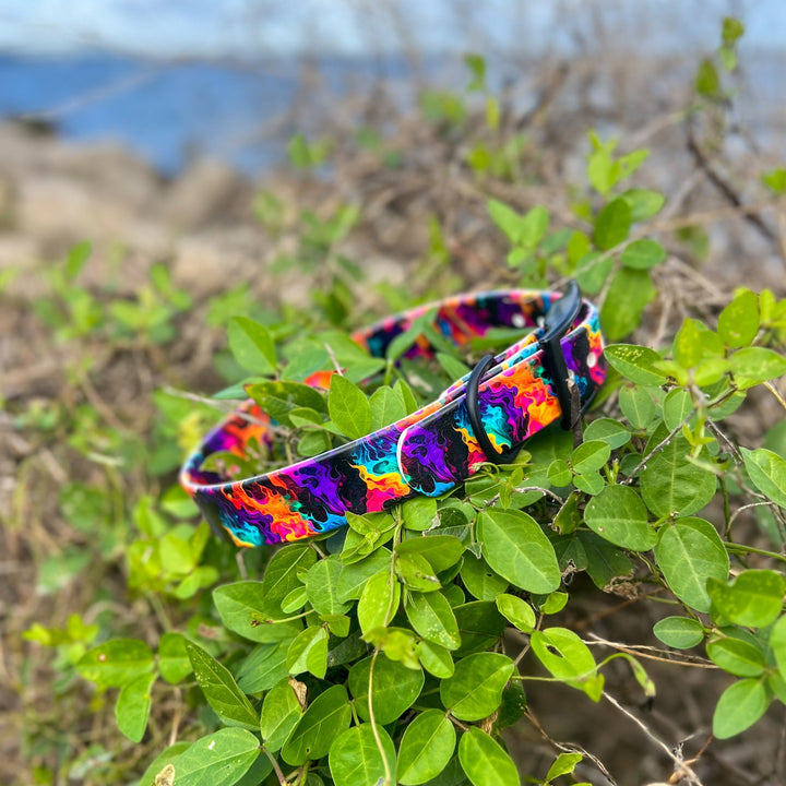 Flames BioThane® Collar | SeaFlower Co