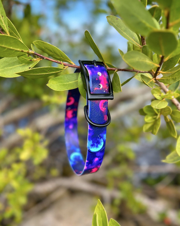 Galaxy BioThane® Collar | SeaFlower Co