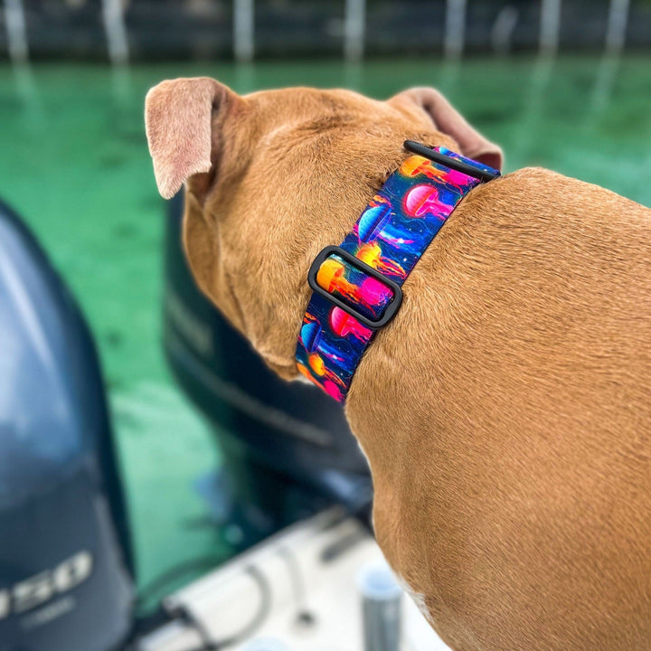 Moon Jellyfish Dog Collar