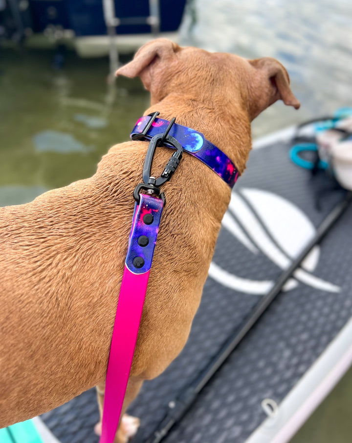 Galaxy Waterproof Leash | SeaFlower Co