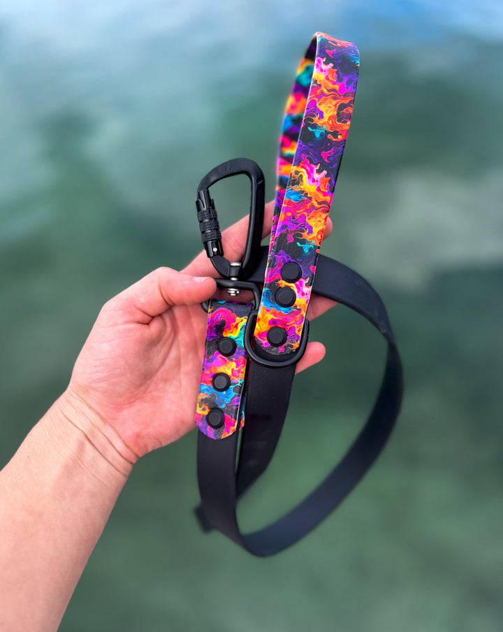 Abstract Waterproof Dog Leash With Auto-locking Carabiner