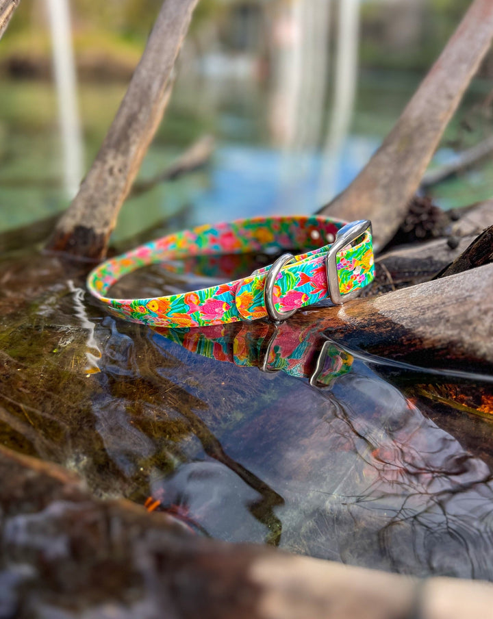 Tropical Fish Stink Proof Collar | SeaFlower Co