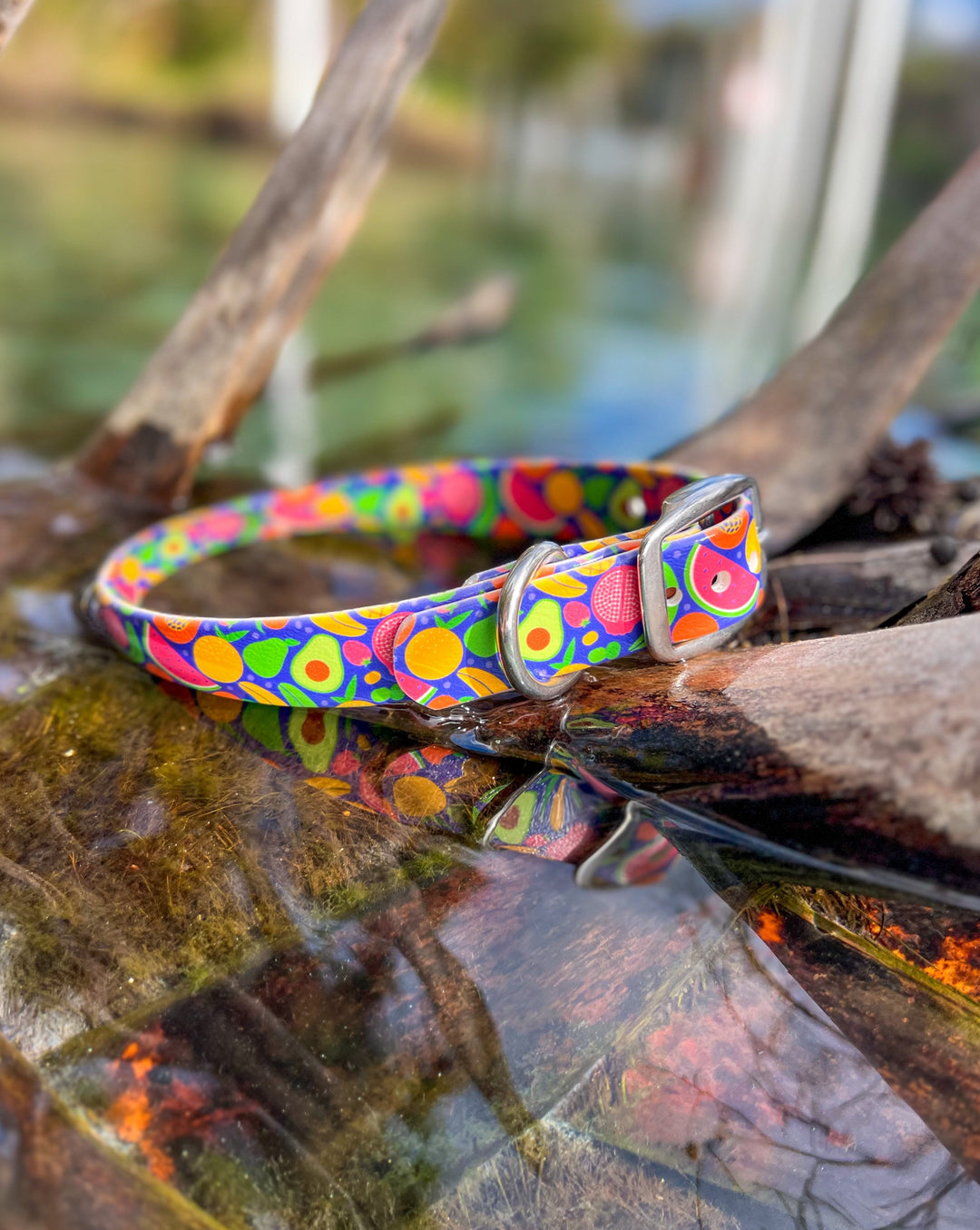tropical fruit waterproof collar | SeaFlower Co