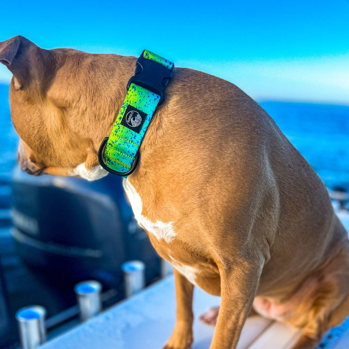 Green Dorado