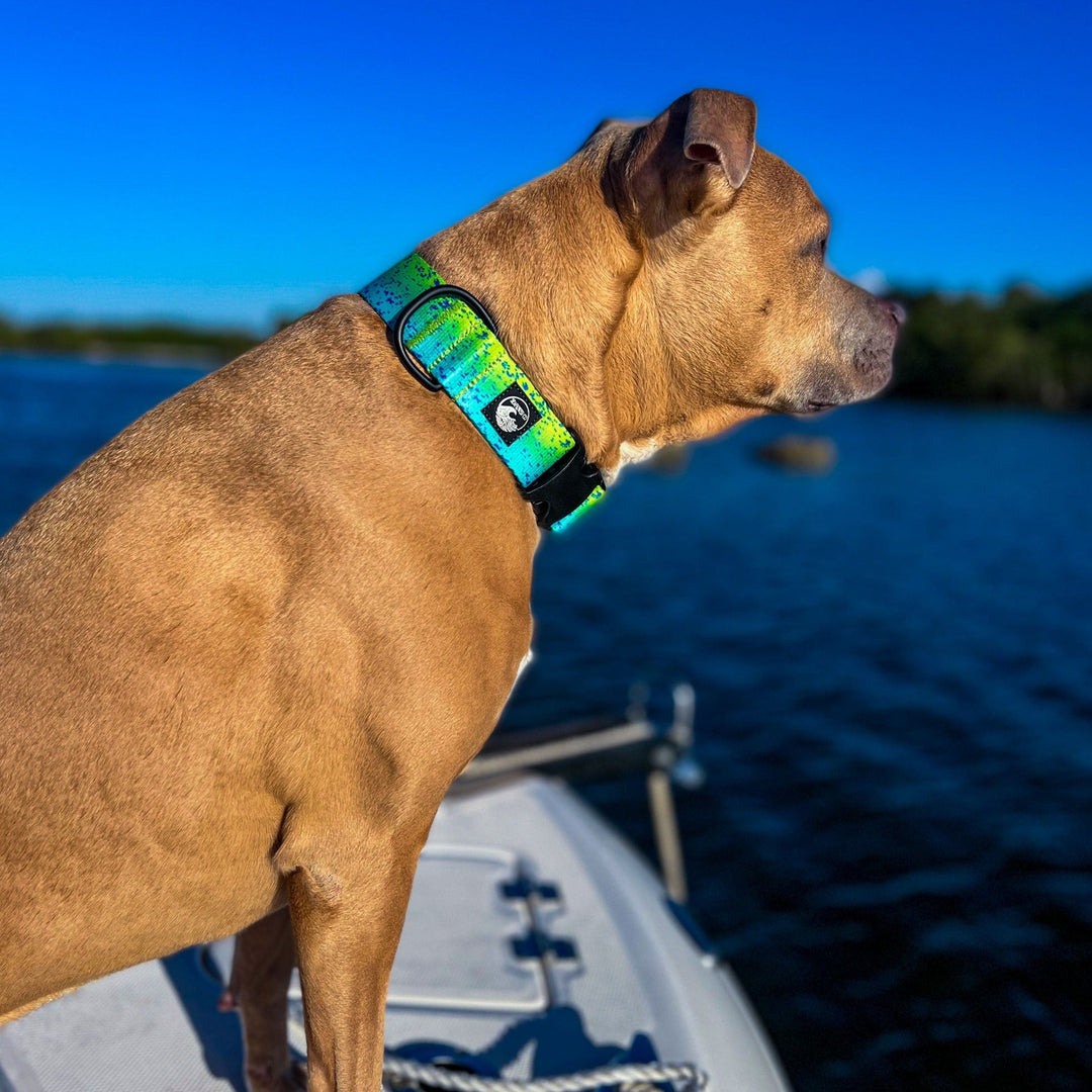 Green Dorado