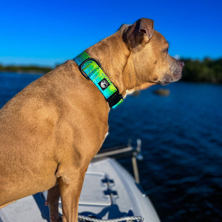 Green Dorado