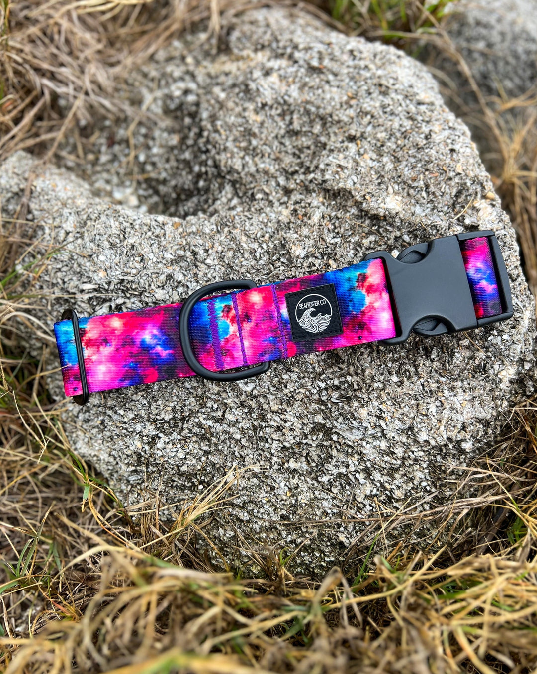 Galaxy Dog Collar | SeaFlower Co