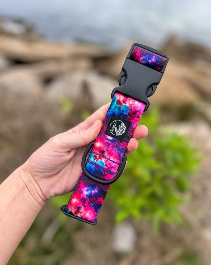 Galaxy Dog Collar | SeaFlower Co