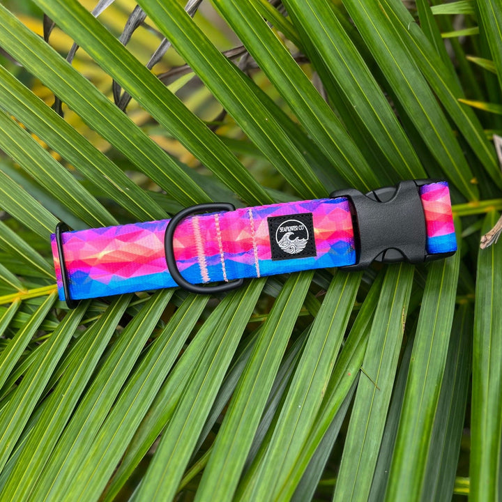 Vibrant Abstract Dog Collar | SeaFlower Co