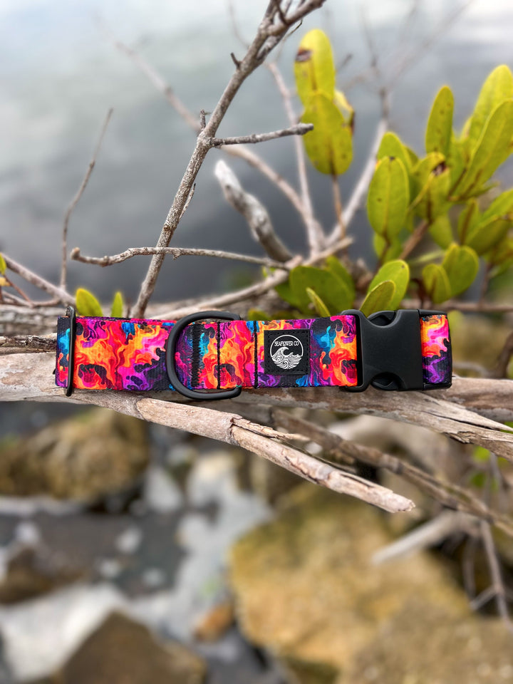 Vibrant Flames Dog Collar | SeaFlower Co