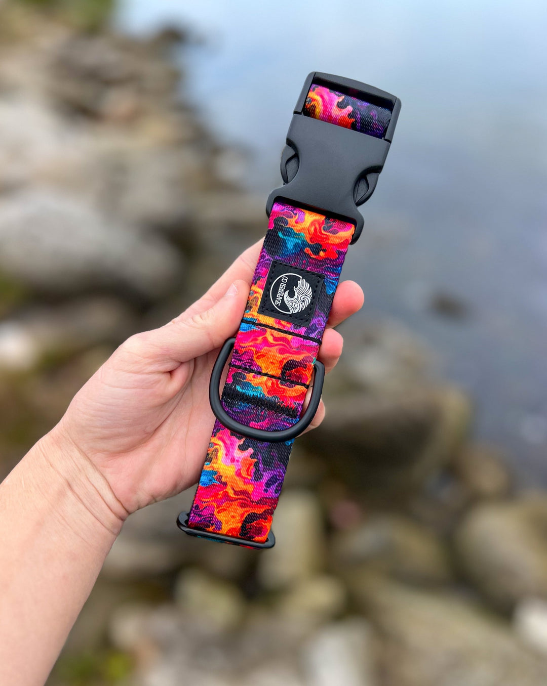 Vibrant Flames Dog Collar | SeaFlower Co